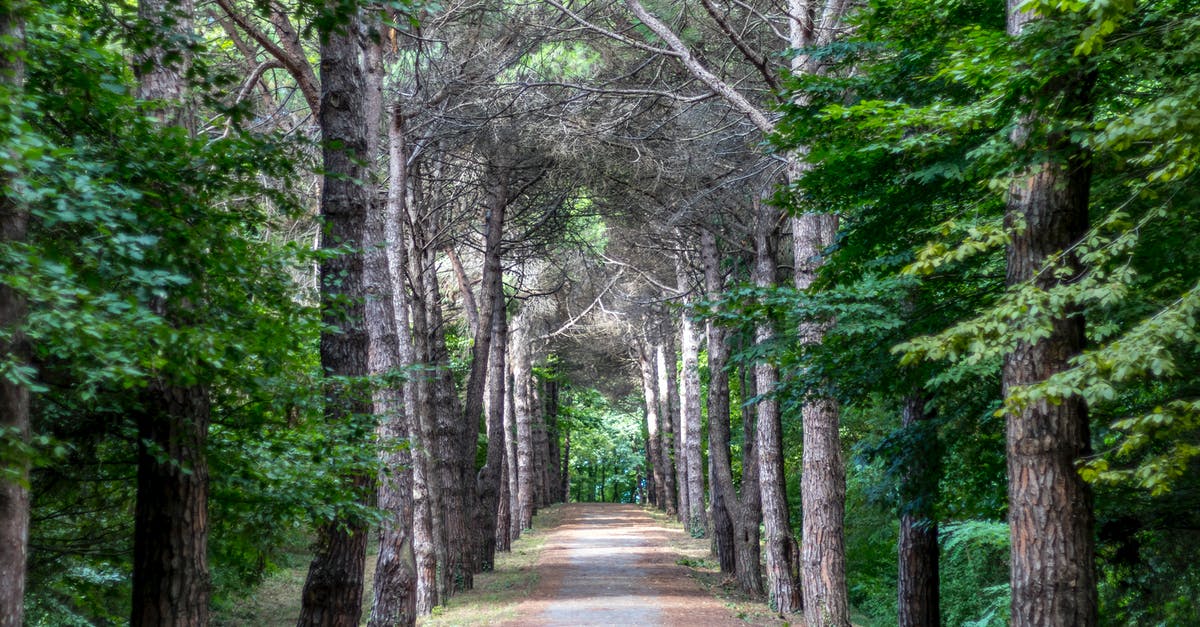 What is the difference between toffee and caramel? - Road between Trees What is the difference between toffee and caramel? - Road between Trees