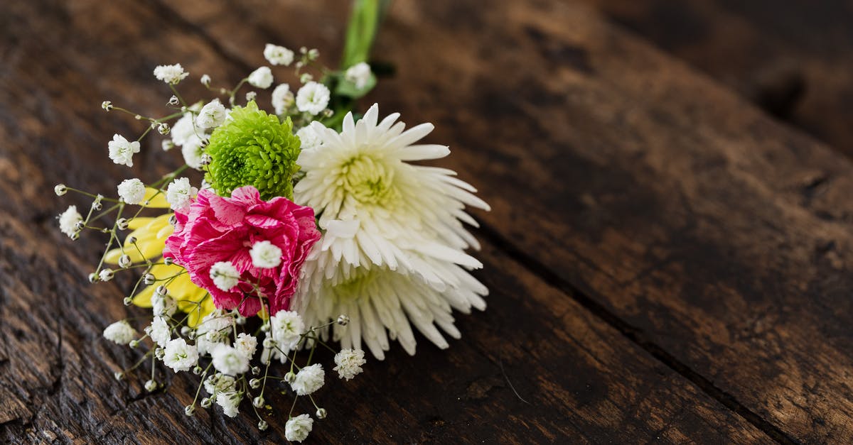 What is the difference between white and pink ginger? - From above of elegant bouquet of differently colored chrysanthemums with pink carnation and tender Gypsophila on contrasting dark brown rustic bench What is the difference between white and pink ginger? - From above of elegant bouquet of differently colored chrysanthemums with pink carnation and tender Gypsophila on contrasting dark brown rustic bench