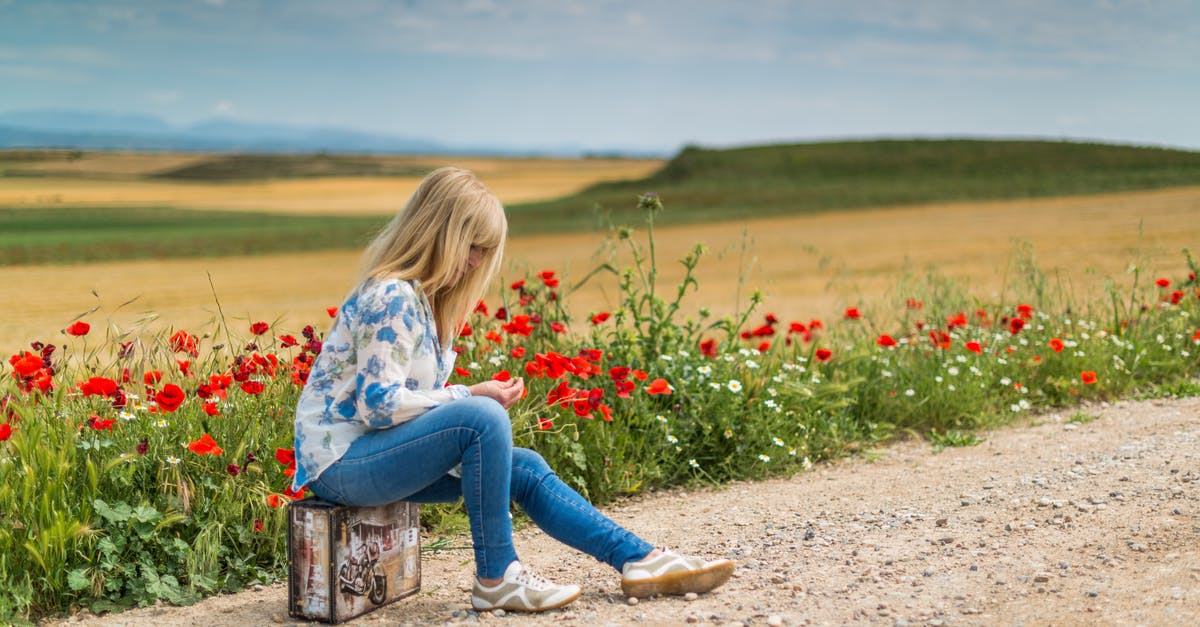 What is the easiest way to grind poppy seeds? - Girl Near Red Petal Flowers at Daytime What is the easiest way to grind poppy seeds? - Girl Near Red Petal Flowers at Daytime