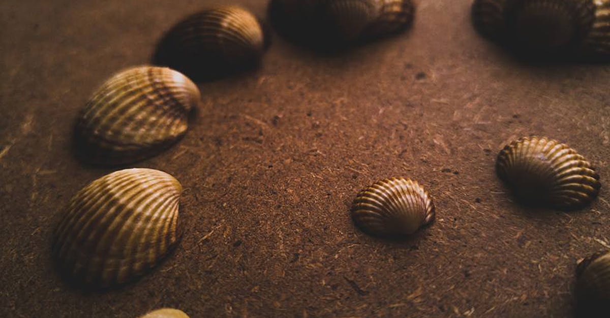 What is the English name of these sea snails? - Assorted Seashell on Sand What is the English name of these sea snails? - Assorted Seashell on Sand