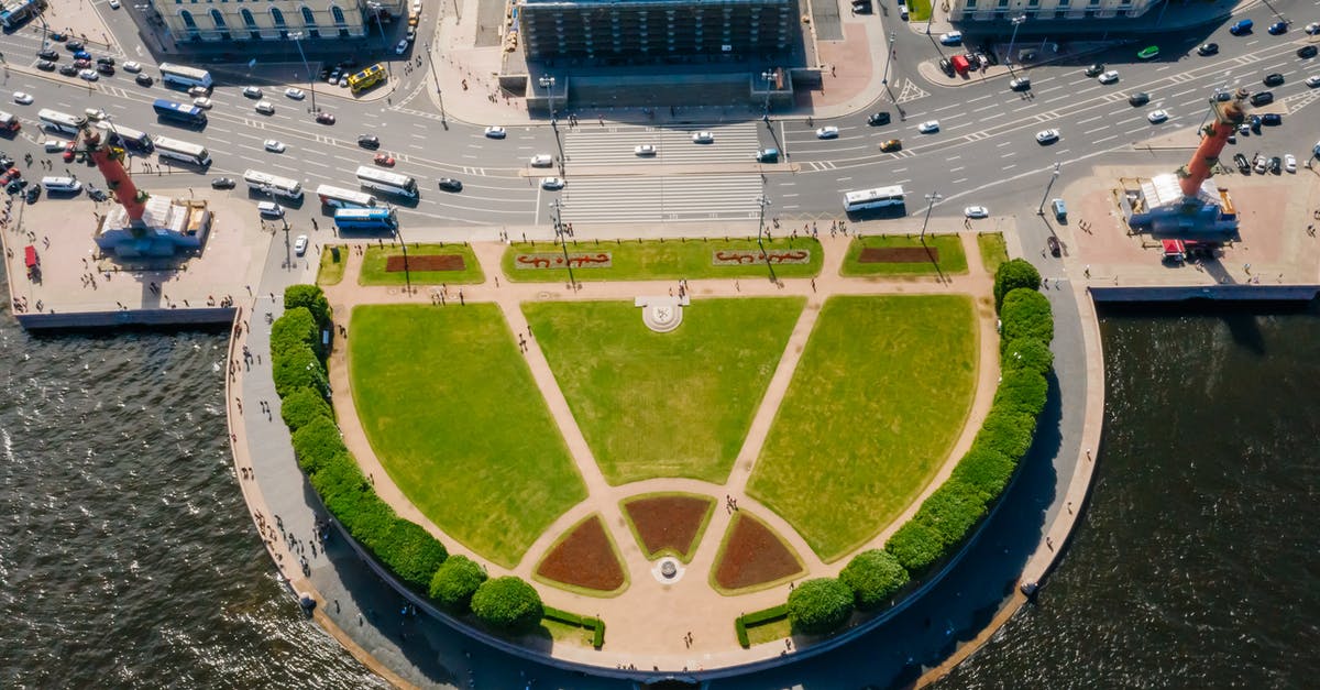What is the English name of these sea snails? - Aerial View of Stadium What is the English name of these sea snails? - Aerial View of Stadium