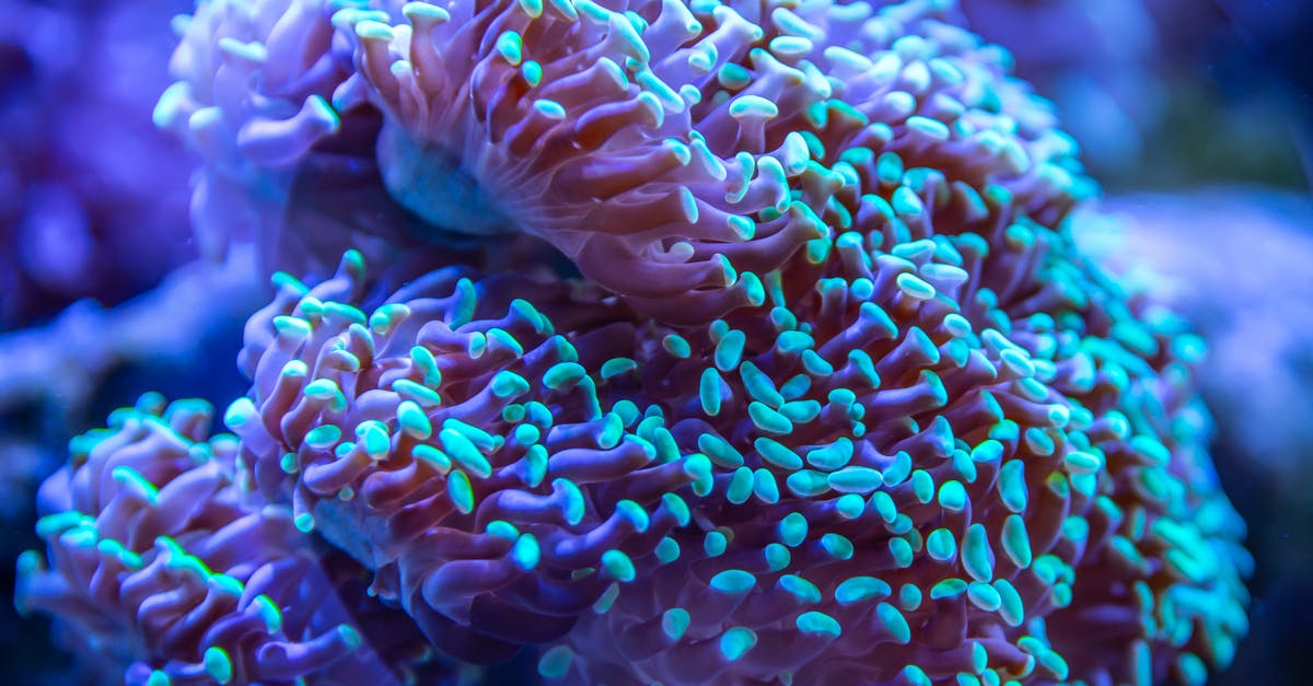 What is the expected shelf life of salted butter? - Blue and Pink Coral What is the expected shelf life of salted butter? - Blue and Pink Coral