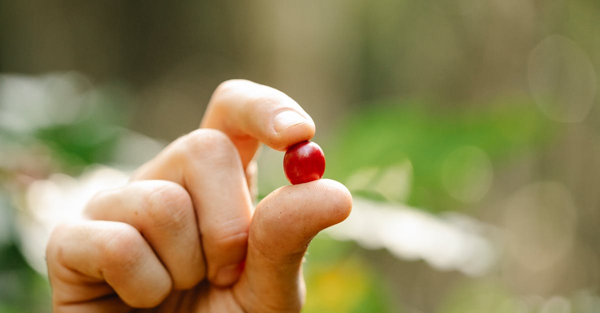 What is the methology for developing seasonings in the food industry? - Crop anonymous male farmer showing small red ripe coffee berry in lush green farm on sunny day What is the methology for developing seasonings in the food industry? - Crop anonymous male farmer showing small red ripe coffee berry in lush green farm on sunny day