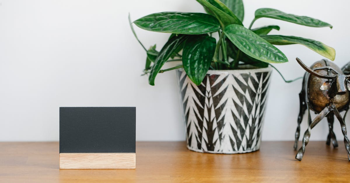 What is the name of this plant? - Blank name card placed on shelf near potted plant and metal cow statuette against gray wall What is the name of this plant? - Blank name card placed on shelf near potted plant and metal cow statuette against gray wall