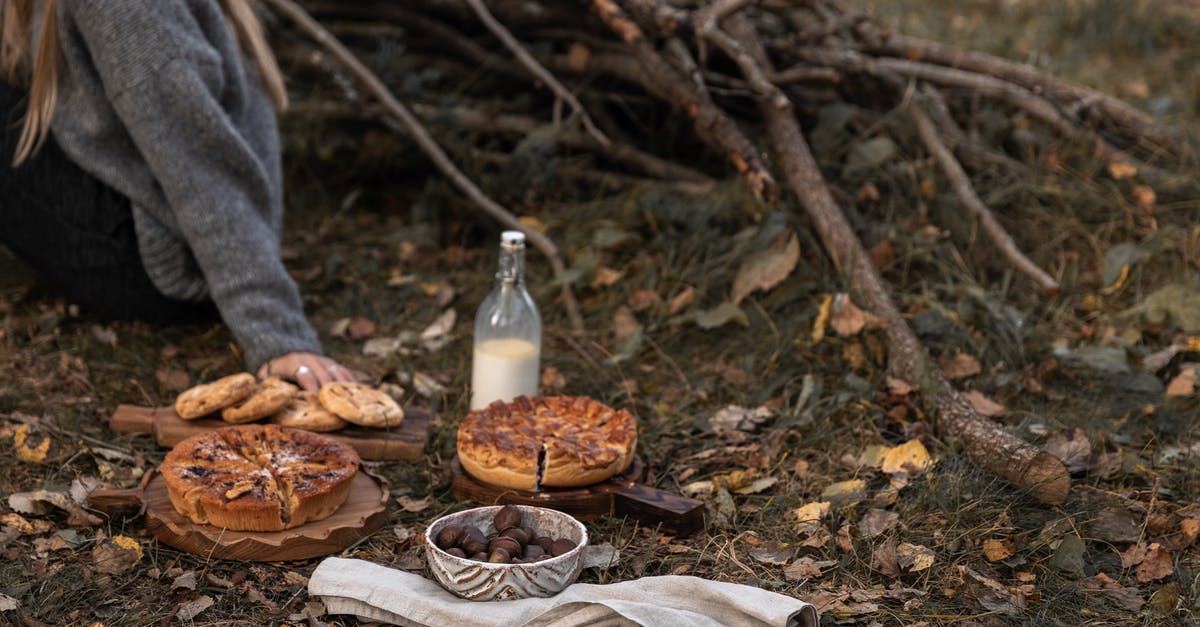 What is the proper usage of a pie bird? - Person in Gray Jacket Holding Brown Bread What is the proper usage of a pie bird? - Person in Gray Jacket Holding Brown Bread