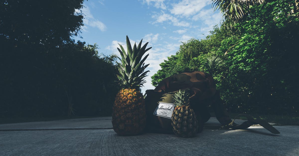 What is the proper way to make a fruit purée? - Pineapples Beside Backpack What is the proper way to make a fruit purée? - Pineapples Beside Backpack