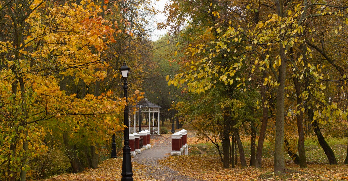 What is the proper/most common way to serve curry? - Pathway in autumn park leading to public gazebo What is the proper/most common way to serve curry? - Pathway in autumn park leading to public gazebo
