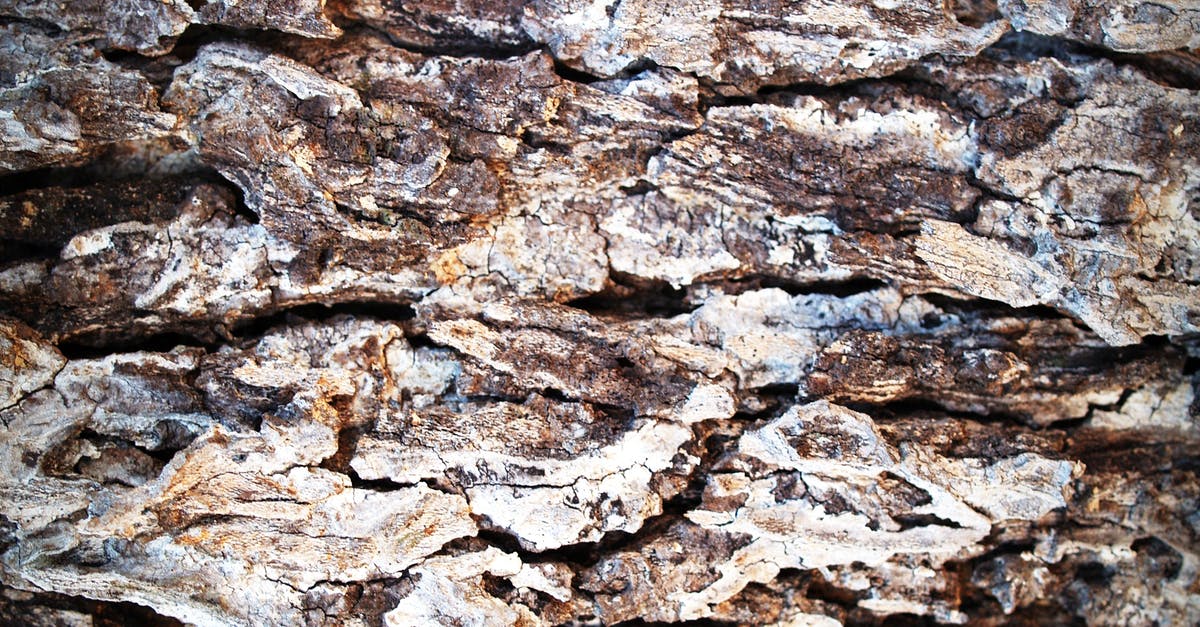 What is the purpose of dry aging a steak? - Brown Tree Bark