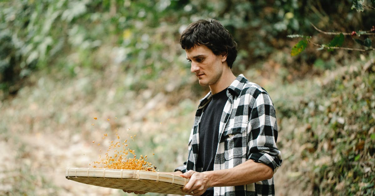 What is the purpose of sifting dry ingredients? - Farmer with sieve sorting dry coffee beans in countryside