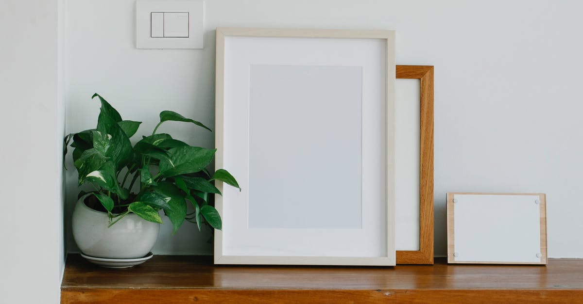 What is the shelf life of gelatin sheets? - Empty frames and board with sheet of paper placed near potted plant on shelf in workspace What is the shelf life of gelatin sheets? - Empty frames and board with sheet of paper placed near potted plant on shelf in workspace