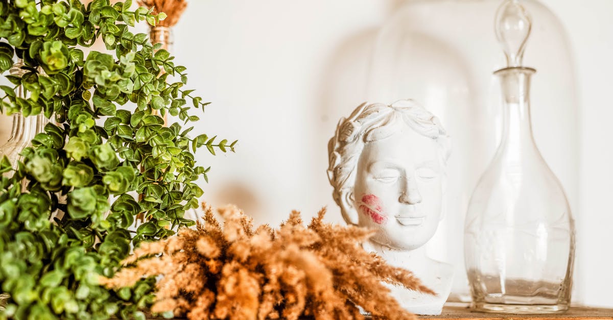 What is the shelf life of pickled gherkins stored dry? - A Bust with Traces of Lipstick and a Carafe Standing on Shelf What is the shelf life of pickled gherkins stored dry? - A Bust with Traces of Lipstick and a Carafe Standing on Shelf