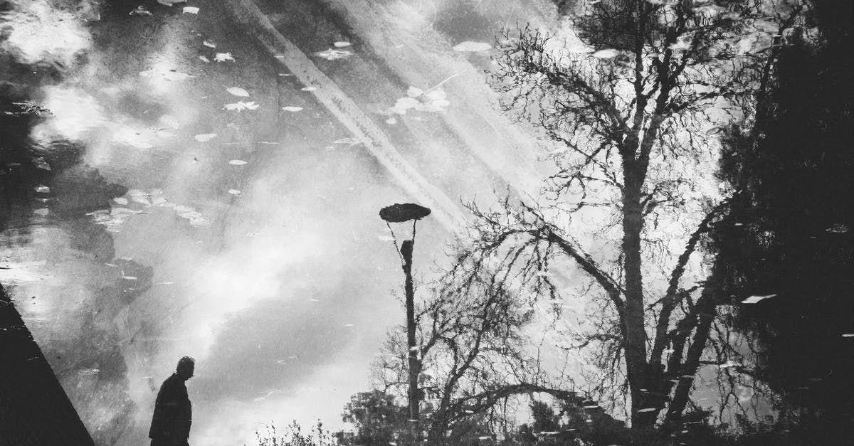 What is the white film on my wet carrots? - Black and white of drawing picture of faceless male walking on street with trees and flashlight in rainy weather What is the white film on my wet carrots? - Black and white of drawing picture of faceless male walking on street with trees and flashlight in rainy weather