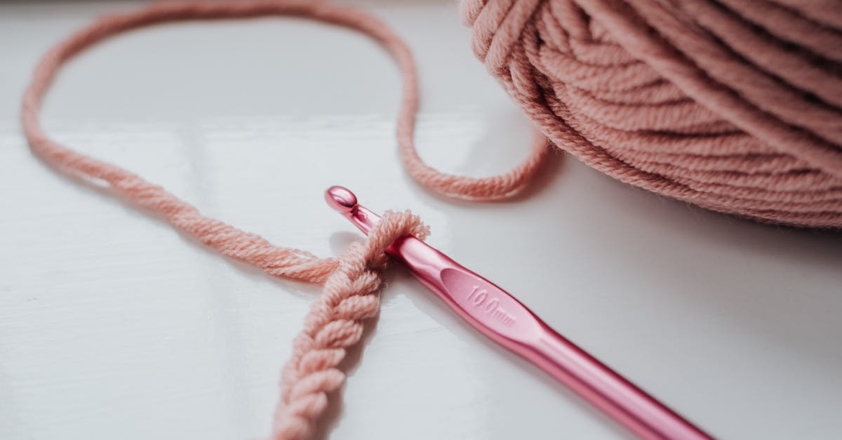 What is this colored fiber in my chicken? - Knitted piece and yarn with hook What is this colored fiber in my chicken? - Knitted piece and yarn with hook
