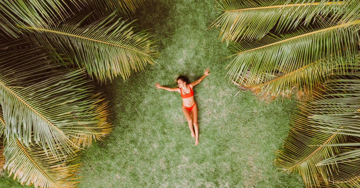 What is this palm like plant called? (Spoiler: leek) - Woman lying on green grass among palms at resort What is this palm like plant called? (Spoiler: leek) - Woman lying on green grass among palms at resort