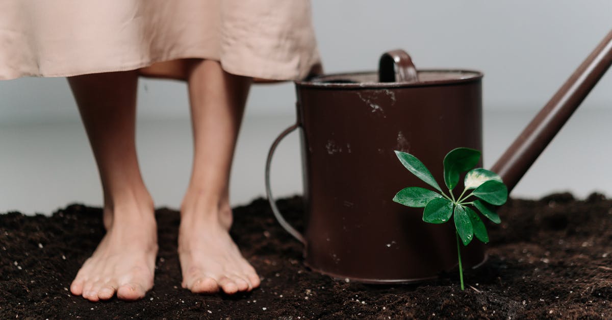 What is this substance in my canned ground beef? - A Person Standing on a Soil Near the Plant and Watering Can