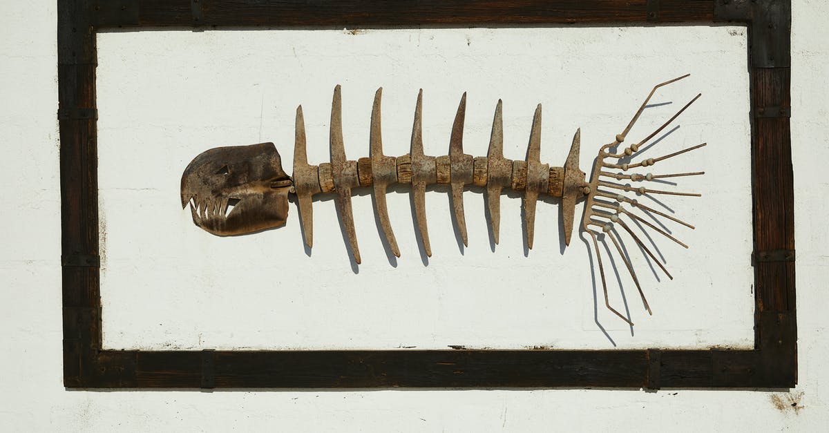 What is this weird black and white stuff on my chickpeas? - Handmade skeleton of predatory fish with sharp teeth in black frame hanging on wall What is this weird black and white stuff on my chickpeas? - Handmade skeleton of predatory fish with sharp teeth in black frame hanging on wall