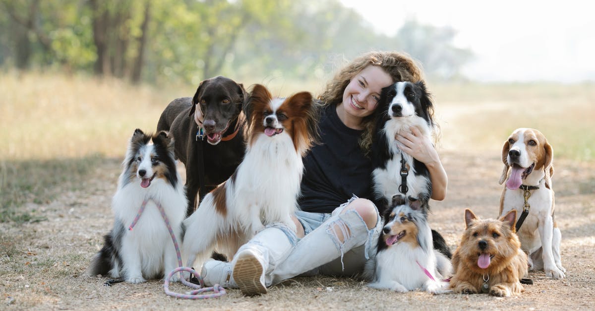 What kind of pan works best with a waterbath? - Gentle smiling woman embracing purebred dogs while sitting on ground What kind of pan works best with a waterbath? - Gentle smiling woman embracing purebred dogs while sitting on ground