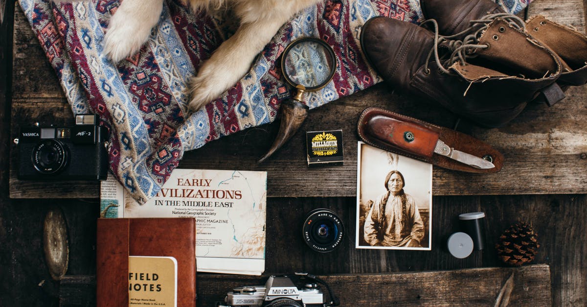 What knife should I take if traveling? - Dog lying near supply for photographing What knife should I take if traveling? - Dog lying near supply for photographing