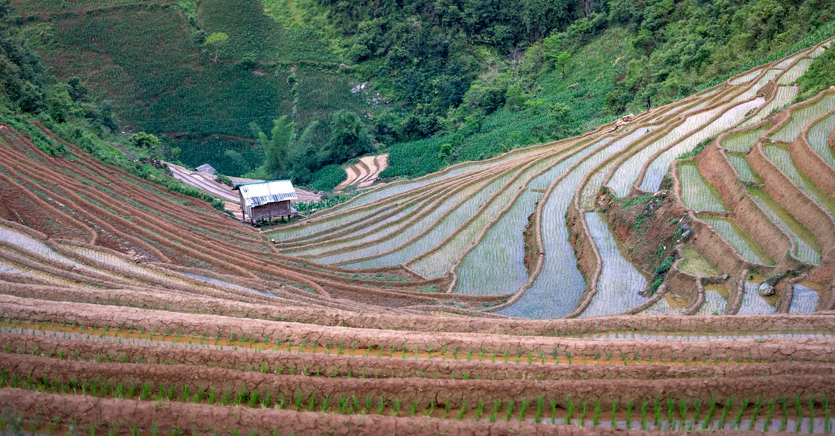 What makes rice wet? - Terraces of cultivated rice plantations in mountainous valley What makes rice wet? - Terraces of cultivated rice plantations in mountainous valley