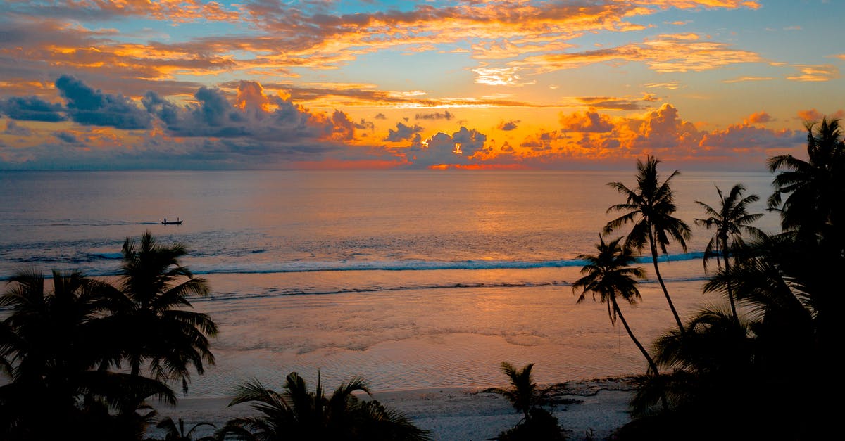 What makes sea food have similar smell? - Silhouette Dusk falling Rapidly What makes sea food have similar smell? - Silhouette Dusk falling Rapidly