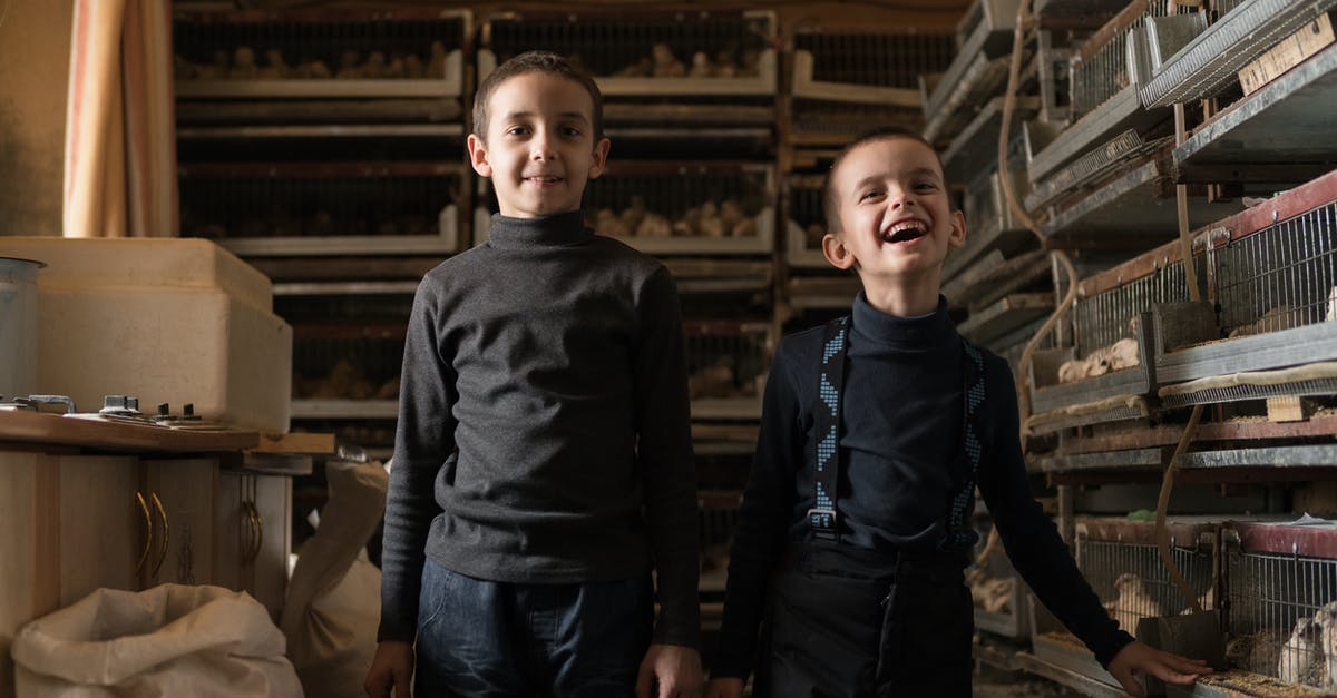 What methods are there of getting fresh local meat & produce? - Positive little children standing at bird factory What methods are there of getting fresh local meat & produce? - Positive little children standing at bird factory