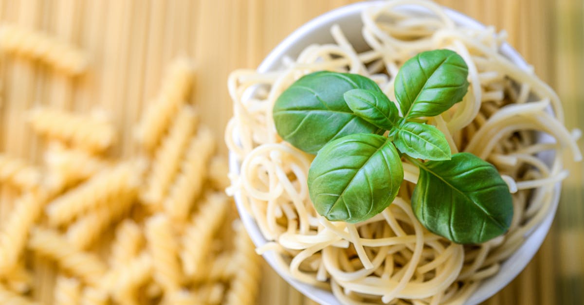 What part to use from fresh Basil leaves? - Pasta Noodles With Fresh Basil Leaves What part to use from fresh Basil leaves? - Pasta Noodles With Fresh Basil Leaves