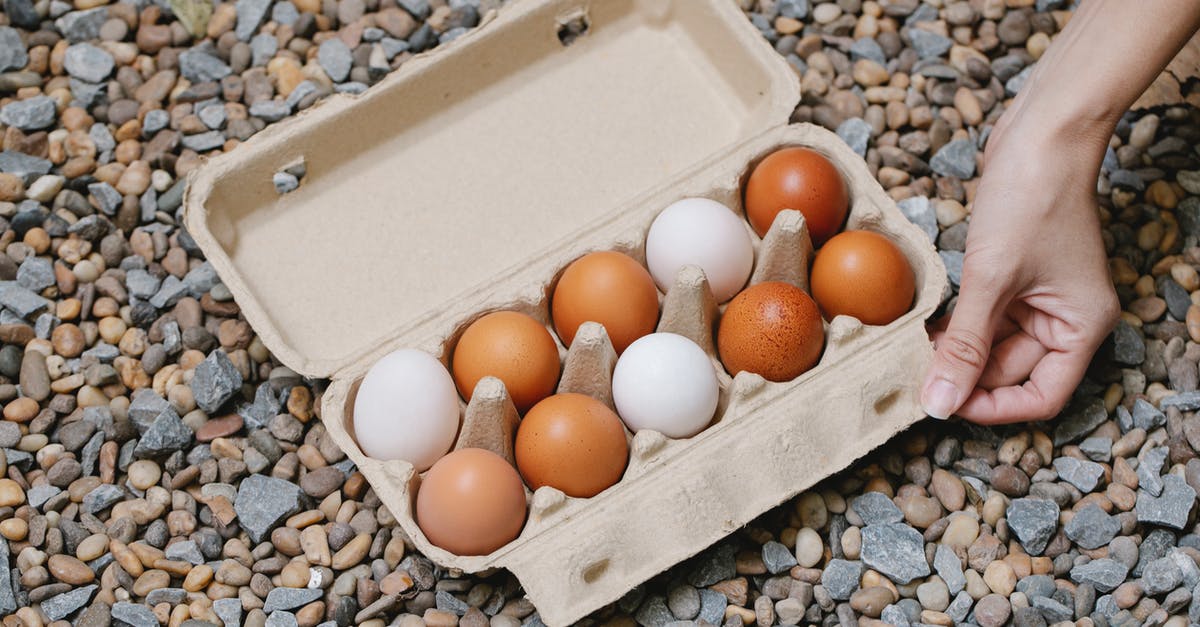What parts of chicken contain suet? - From above of crop anonymous female demonstrating fresh chicken eggs in carton box