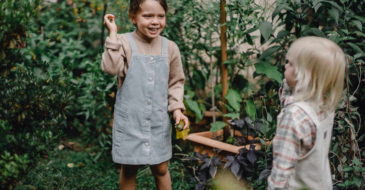 What plants have the most oil? - Cute little siblings playing together in garden near lush plants What plants have the most oil? - Cute little siblings playing together in garden near lush plants