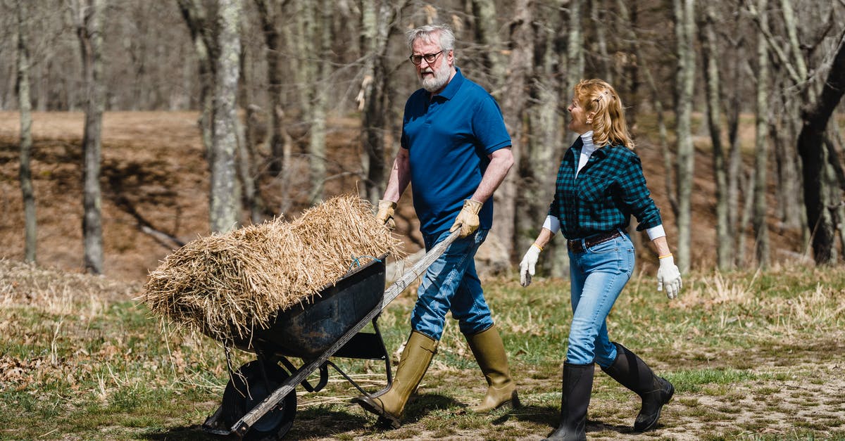 What seasonings give ranch dressing its distinctive flavor? - Full body of concentrated mature man and woman carrying cart with dry hay while walking together along rural path in countryside on sunny day What seasonings give ranch dressing its distinctive flavor? - Full body of concentrated mature man and woman carrying cart with dry hay while walking together along rural path in countryside on sunny day