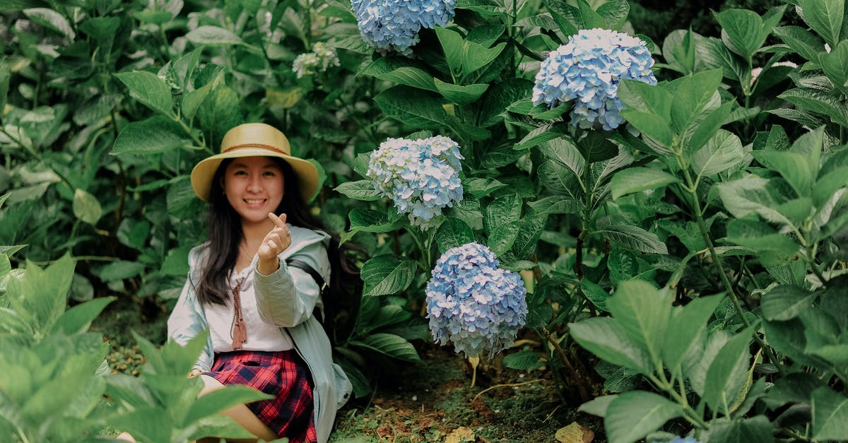 what should I do with overgrown beautiful clusters of Chia seed leaves? [duplicate] - Girl Sitting Beside Plants