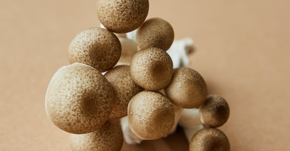 What species is Chinese dried mushrooms (冬菇)? - High angle of cluster of brown beech type of gourmet oyster mushroom growing in Asia placed on beige background What species is Chinese dried mushrooms (冬菇)? - High angle of cluster of brown beech type of gourmet oyster mushroom growing in Asia placed on beige background