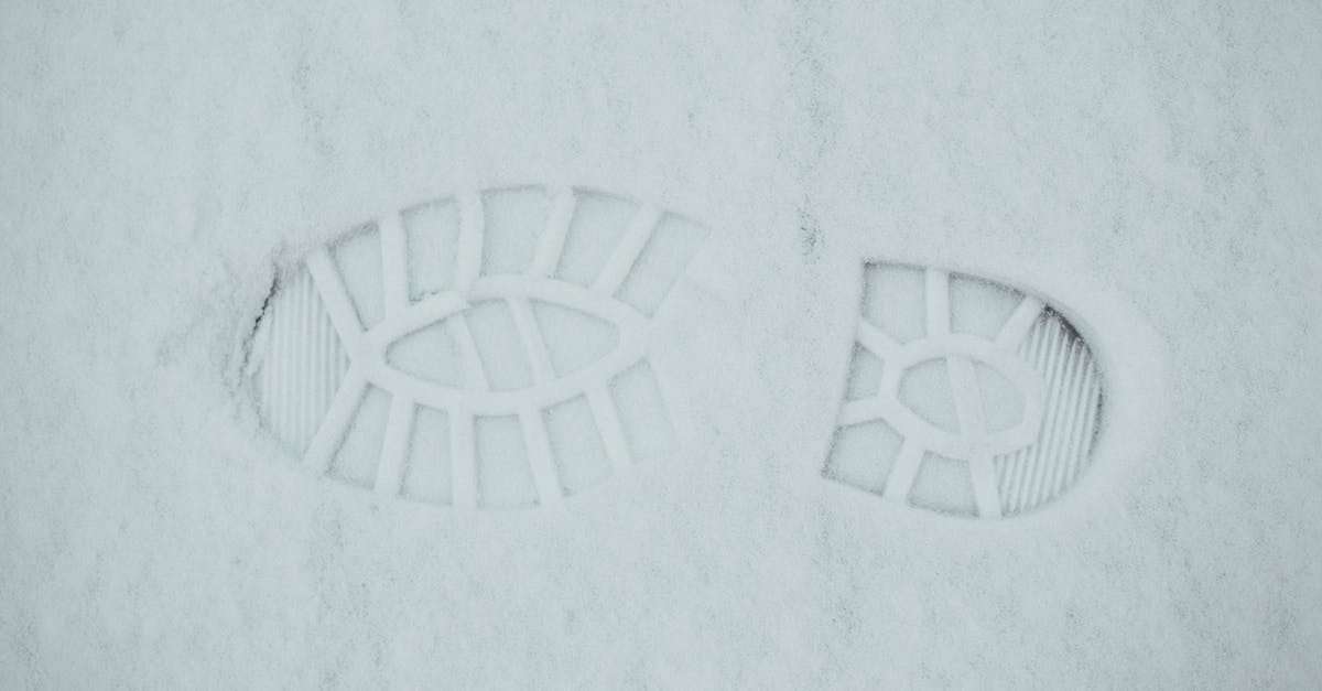 What temperature is 'High' in a 950 watt microwave? - From above of textured background of footprint on ground covered with snow in winter day What temperature is 'High' in a 950 watt microwave? - From above of textured background of footprint on ground covered with snow in winter day