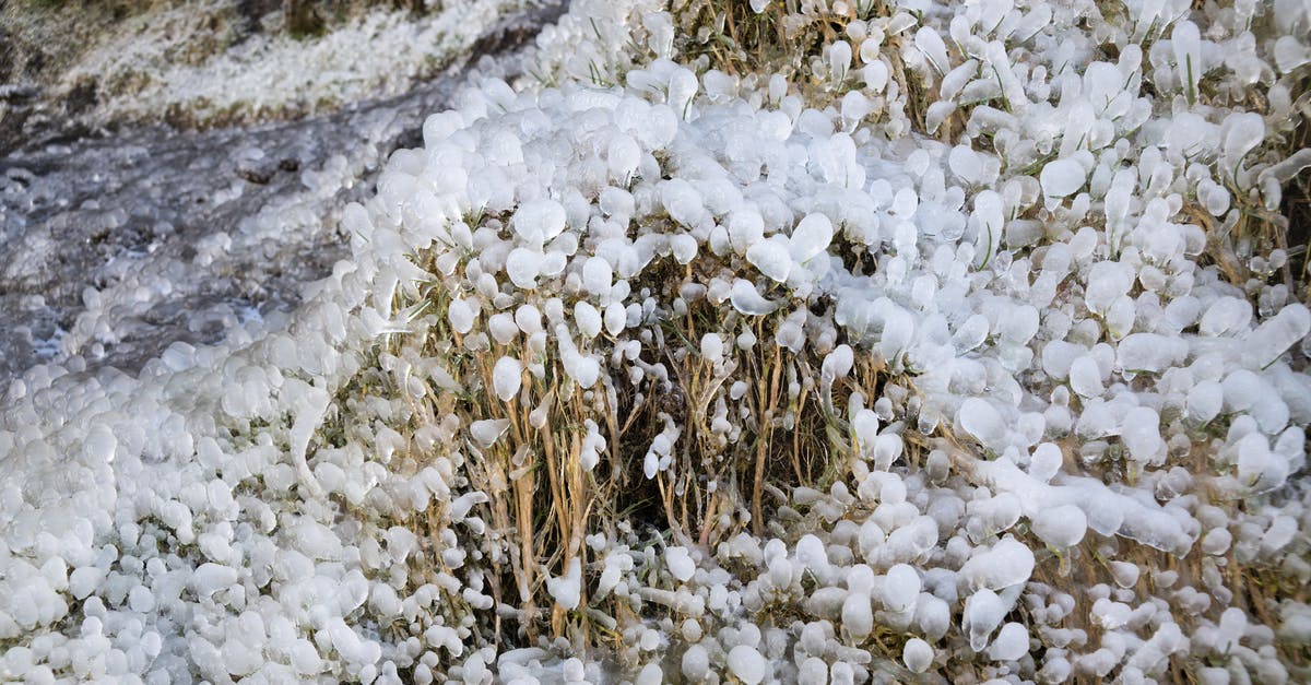 What temperature of water will kill yeast? - From above of grass area covered with frozen sleet in daylight in winter What temperature of water will kill yeast? - From above of grass area covered with frozen sleet in daylight in winter
