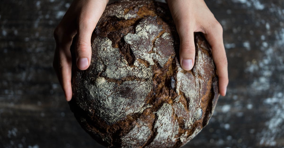 What the advantage of a 'bakers couche' for proofing bread and is it safe? - Human Holding a Bread What the advantage of a 'bakers couche' for proofing bread and is it safe? - Human Holding a Bread