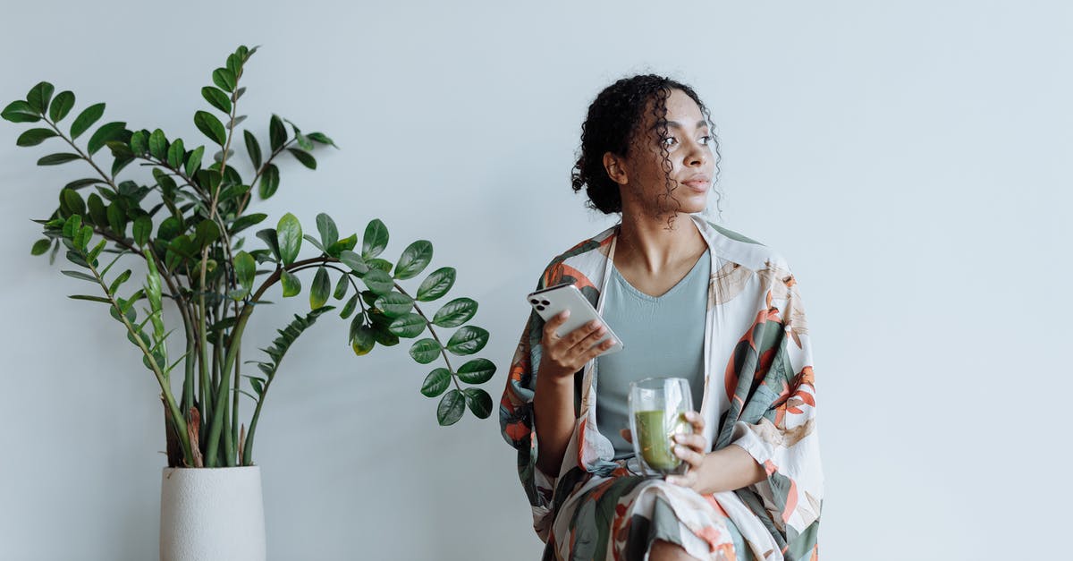 What to use for a matcha whisk? - Photo of Woman Sitting Beside an Indoor Plant What to use for a matcha whisk? - Photo of Woman Sitting Beside an Indoor Plant