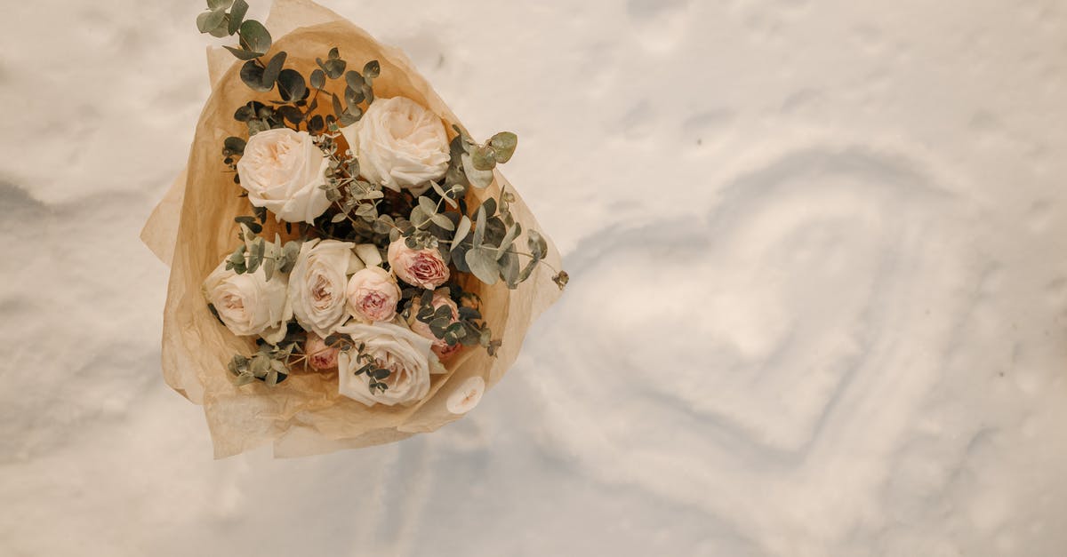 What type of cookies does the author Rose Levy talk about in Christmas cookies book? - White and Brown Floral Egg Ornament