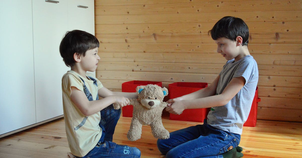 What went wrong with my sourdough? - Side view full length irritated fighting brothers sitting on floor and pulling teddy bear to sides What went wrong with my sourdough? - Side view full length irritated fighting brothers sitting on floor and pulling teddy bear to sides