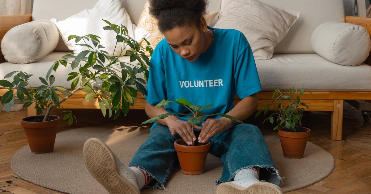 What went wrong with these pots de creme au chocolat? - Woman in Blue Crew Neck T-shirt and Blue Denim Jeans Sitting on Brown Sofa What went wrong with these pots de creme au chocolat? - Woman in Blue Crew Neck T-shirt and Blue Denim Jeans Sitting on Brown Sofa