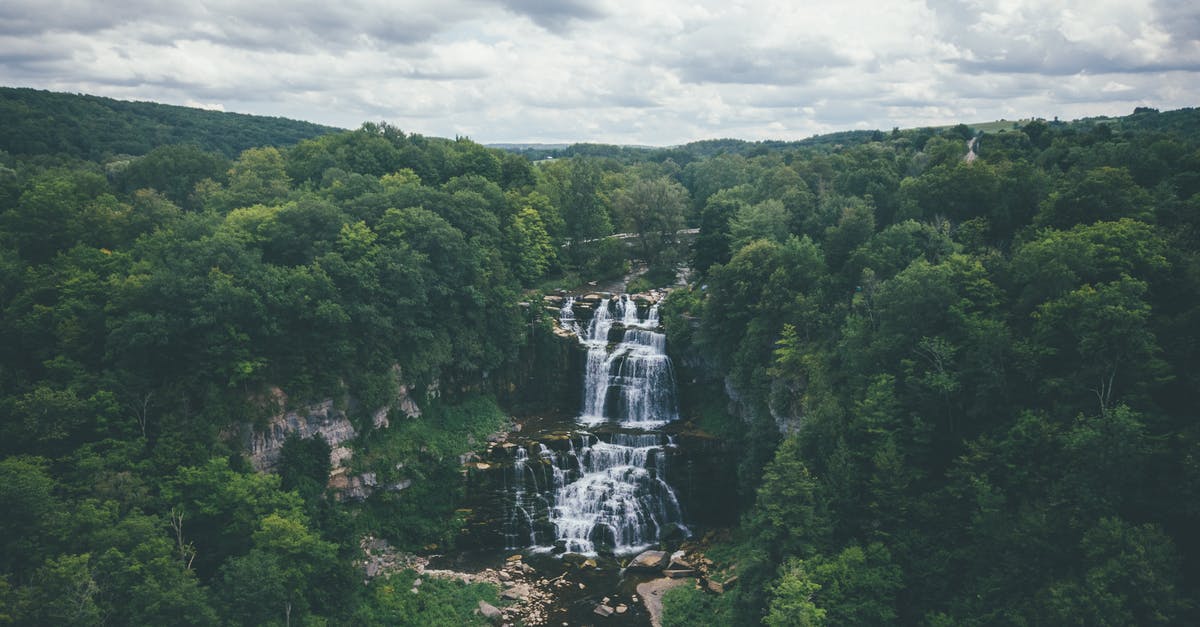 What were the popular cookbooks of the 1950s? - Scenic View Of A Waterfalls Surrounded by Trees