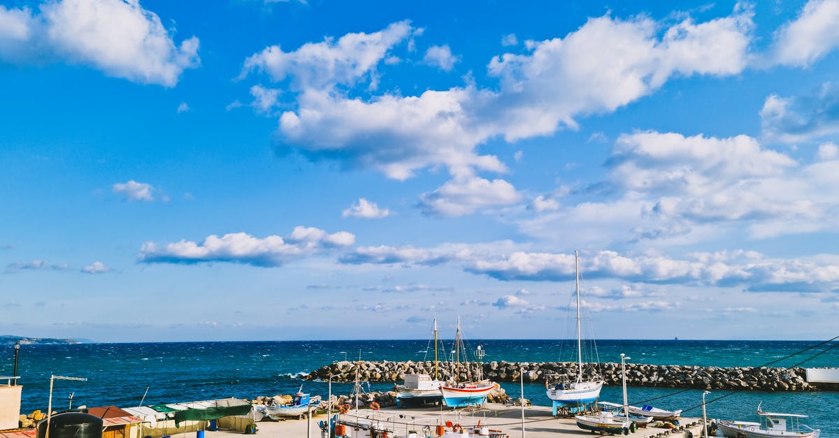 What would be a good accompaniment for Ostrich fillet with Port and Blue Cheese glaze? [closed] - White and Blue Boat on Sea Dock Under Blue and White Cloudy Sky