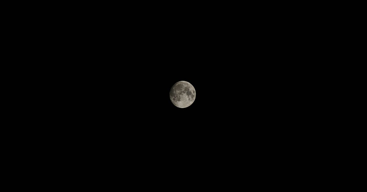What would be an appropriate gluten-free substitute for breadcrumbs? - Full Moon What would be an appropriate gluten-free substitute for breadcrumbs? - Full Moon