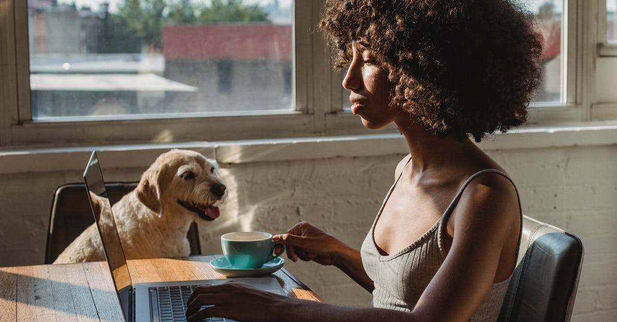 What would you use to wash pretzel hot dog buns? - Side view of young black female remote employee with cup of hot drink working on netbook near dog at home