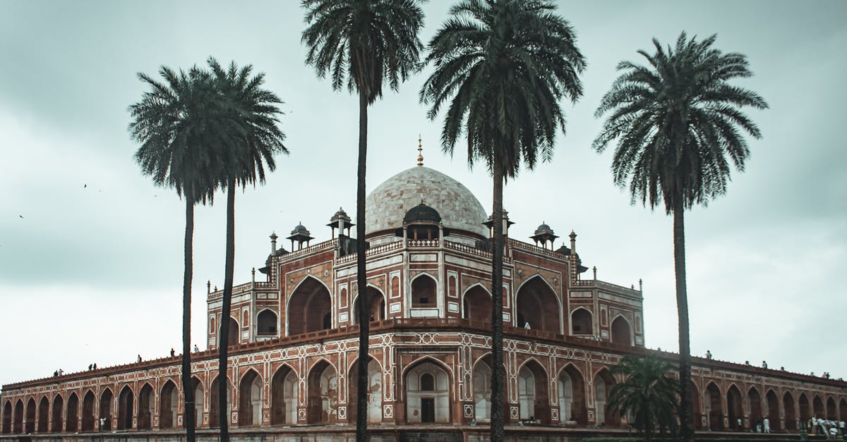 What’s the definition of “cultured butter”? - Low angle of beautiful well maintained garden with palms and ancient building of Humayun s Tomb located in Delhi What’s the definition of “cultured butter”? - Low angle of beautiful well maintained garden with palms and ancient building of Humayun s Tomb located in Delhi