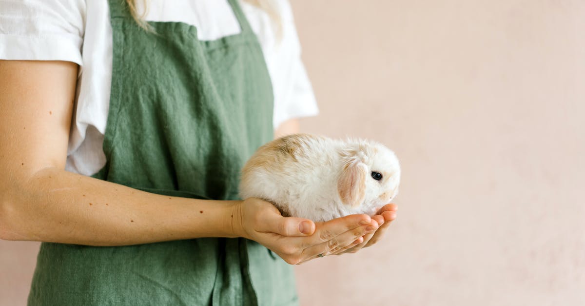 What’s the minimum sugar to egg white ratio in Swiss buttercream? - Free stock photo of adult, apron, at home What’s the minimum sugar to egg white ratio in Swiss buttercream? - Free stock photo of adult, apron, at home