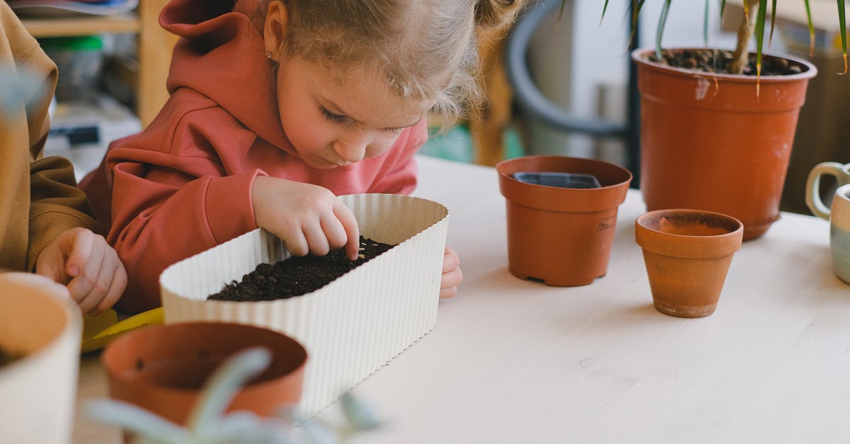 When freezing jalapeños, can I leave the seeds in? - Free stock photo of breakfast, child, children When freezing jalapeños, can I leave the seeds in? - Free stock photo of breakfast, child, children