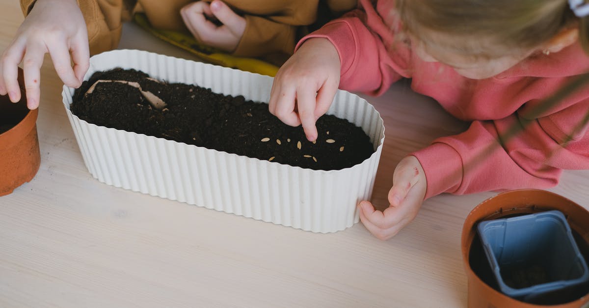 When freezing jalapeños, can I leave the seeds in? - Free stock photo of bakery, baking, birthday When freezing jalapeños, can I leave the seeds in? - Free stock photo of bakery, baking, birthday