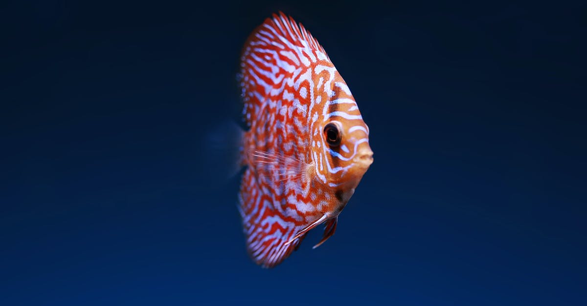 When is fish 'fully cured' using salt? - Pink Discuss Fish When is fish 'fully cured' using salt? - Pink Discuss Fish