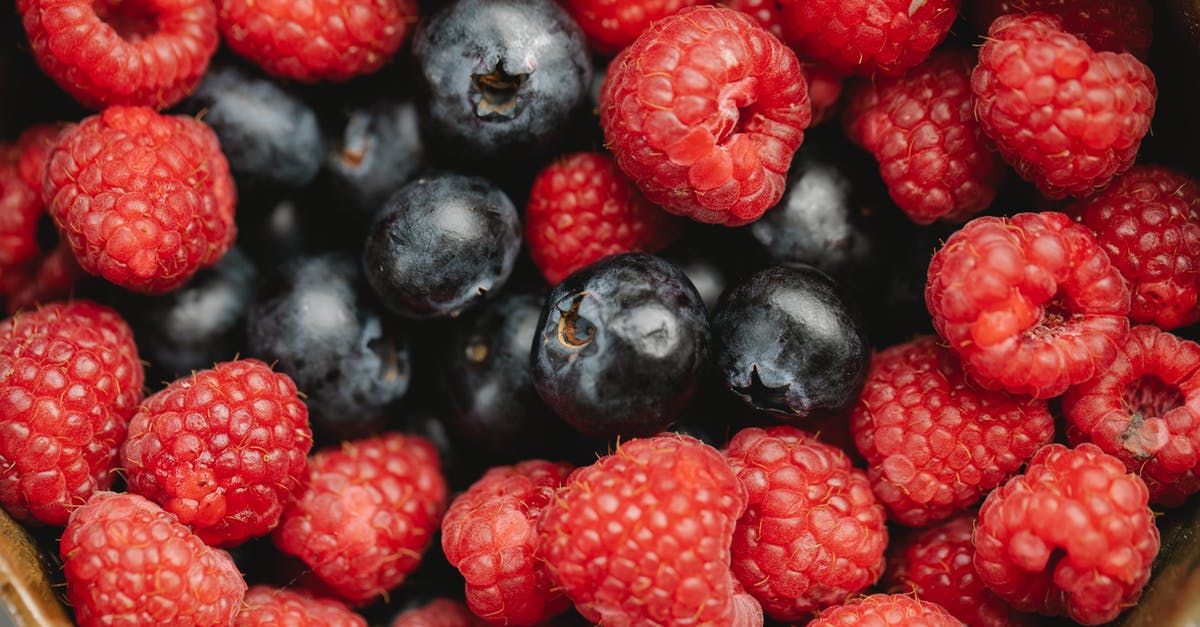 When is the right time to pick blueberries? - Closeup heap of delicious fresh raspberries and blueberries picked from garden placed in bowl during harvest season in summer When is the right time to pick blueberries? - Closeup heap of delicious fresh raspberries and blueberries picked from garden placed in bowl during harvest season in summer