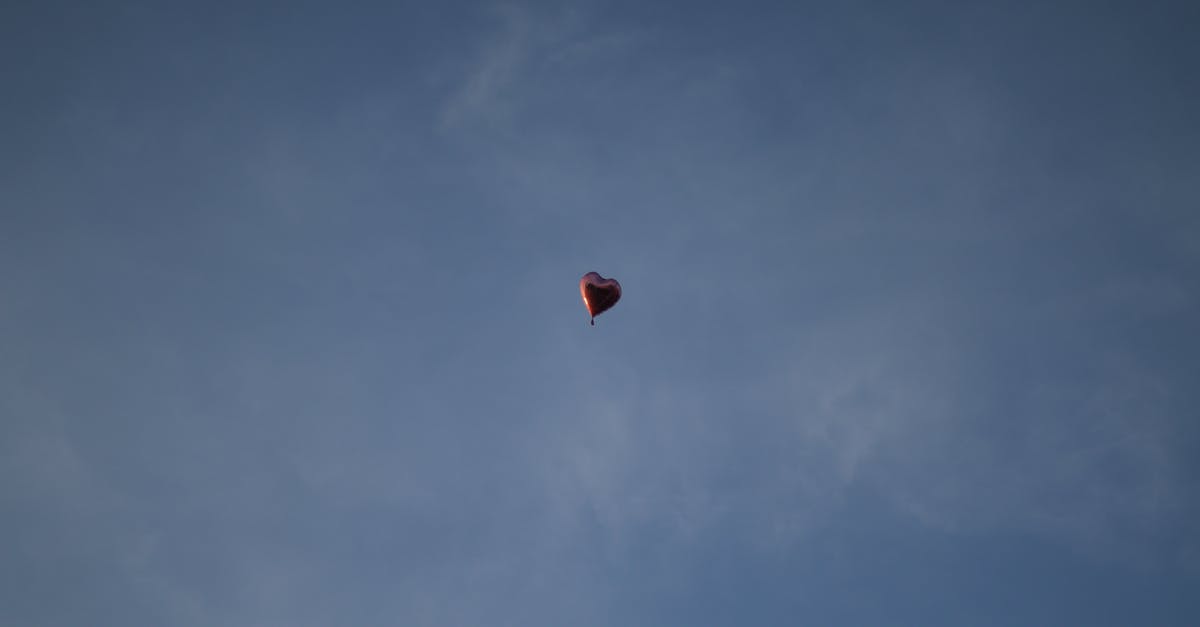 When should I use a rounded balloon whisk attachment vs a bulb-shaped balloon whisk attachment - Flying Heart Balloon When should I use a rounded balloon whisk attachment vs a bulb-shaped balloon whisk attachment - Flying Heart Balloon