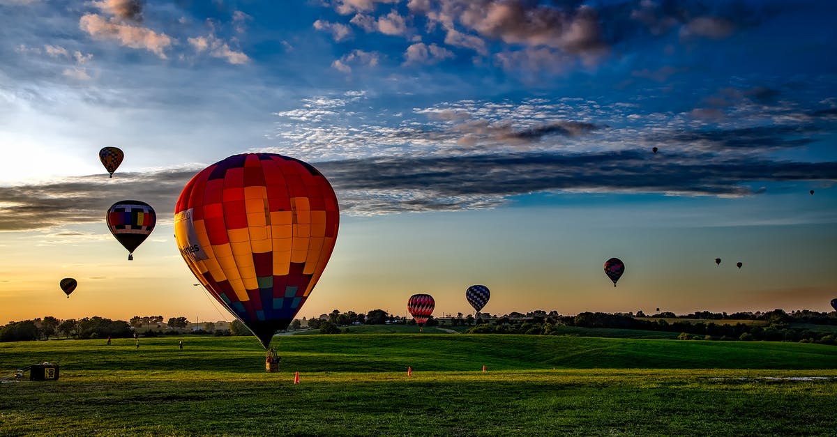 When should I use a rounded balloon whisk attachment vs a bulb-shaped balloon whisk attachment - Assorted-color Hot Air Balloons on Grass Field during Golden Hour When should I use a rounded balloon whisk attachment vs a bulb-shaped balloon whisk attachment - Assorted-color Hot Air Balloons on Grass Field during Golden Hour